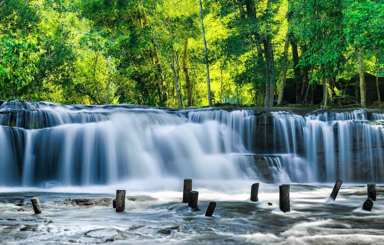 1332x850 Wallpaper nature, blur, summer, landscape, nature, bokeh, Cambodia