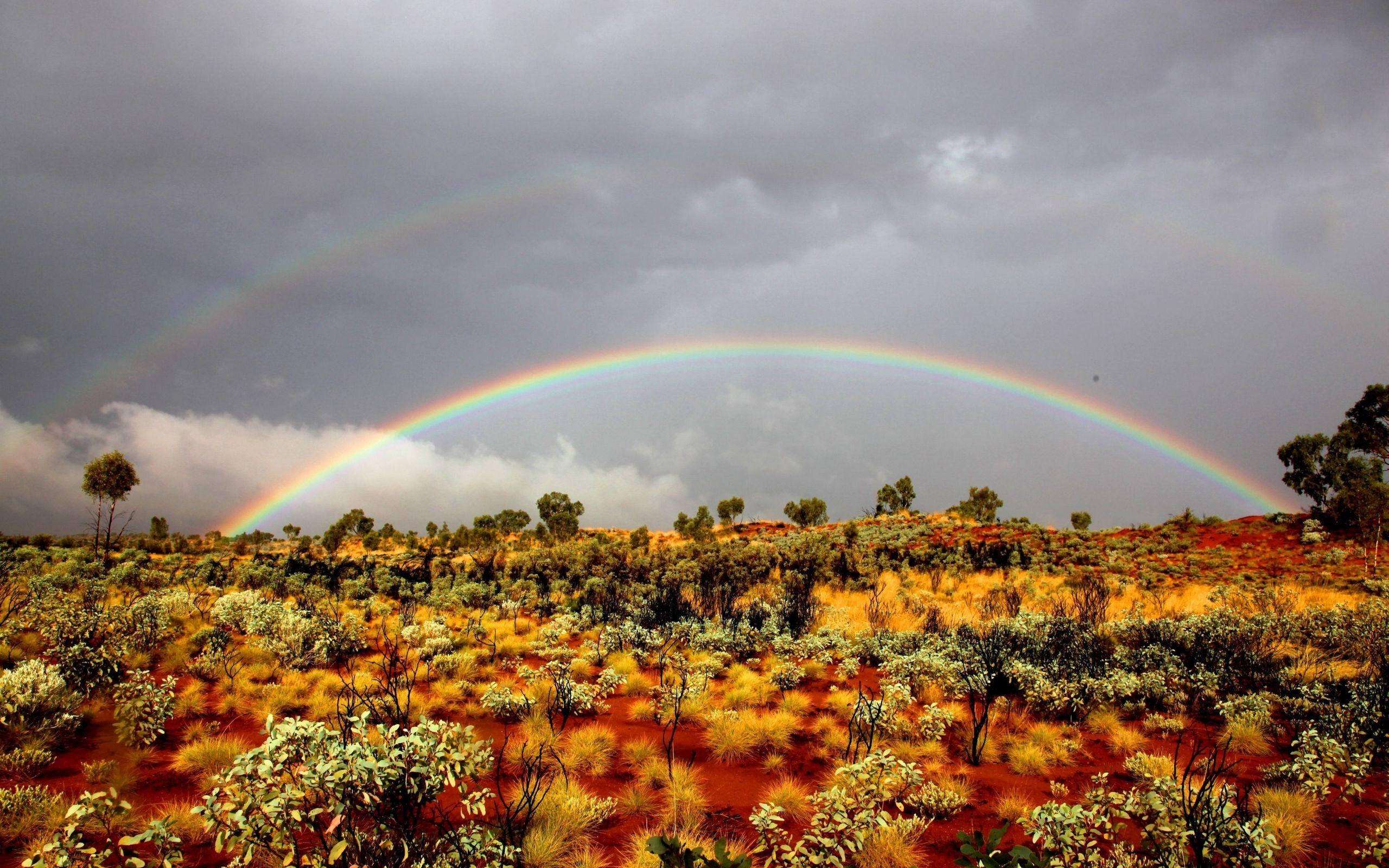 2560x1600 Download wallpaper 2560x1600 rainbow, bushes, wild west