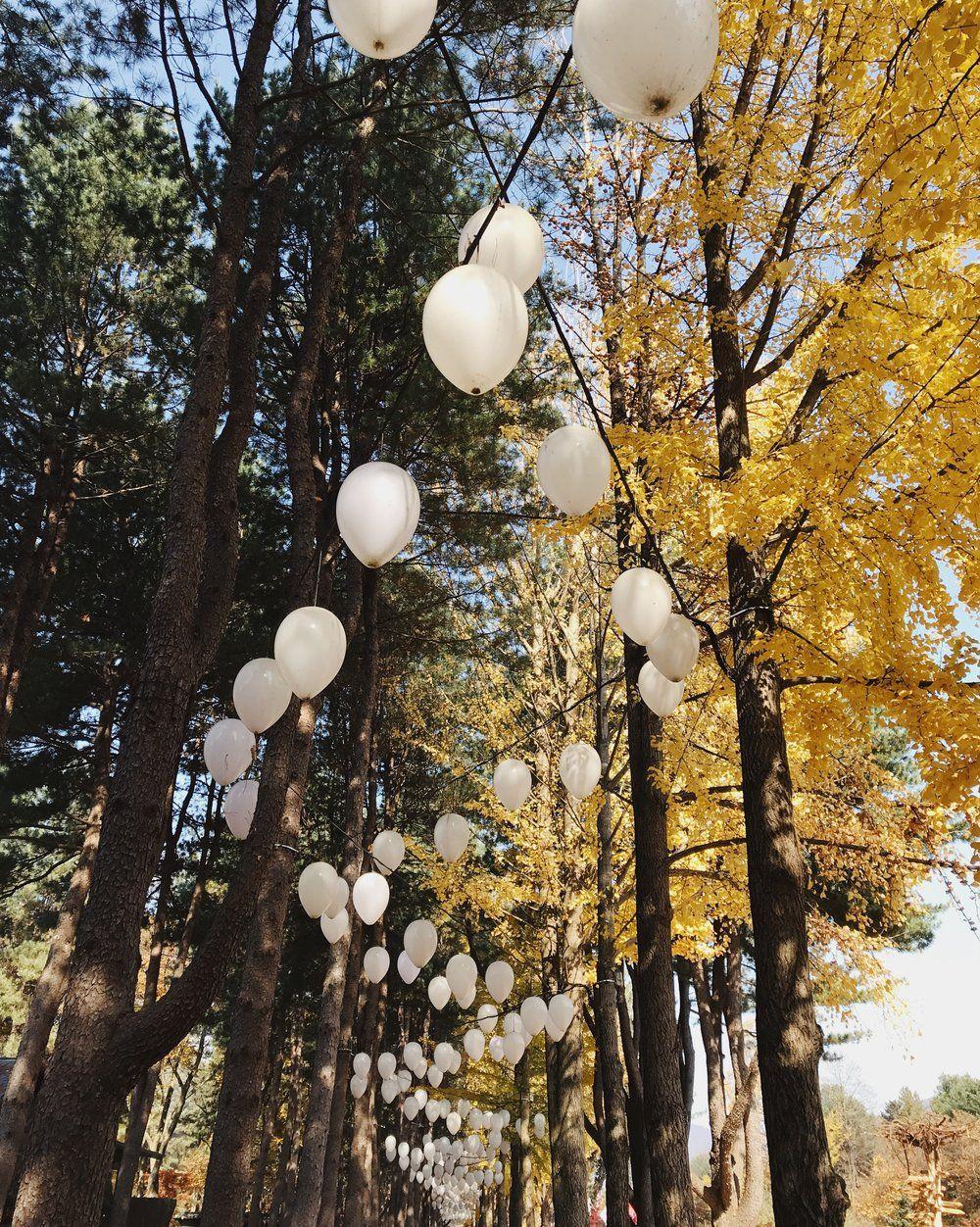 1000x1252 Fall at Nami Island, South Korea Day Trips