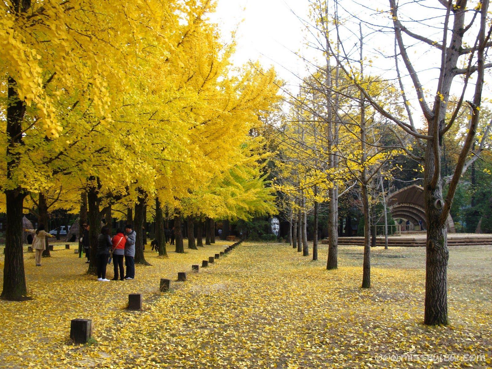 1600x1200 What to do in Cheong Pyeong