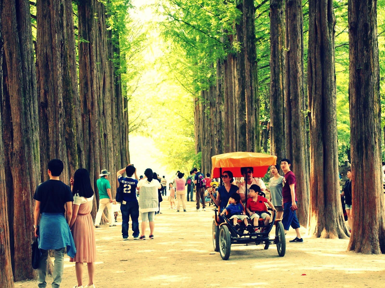 1600x1200 Day Trippin': Nami Island