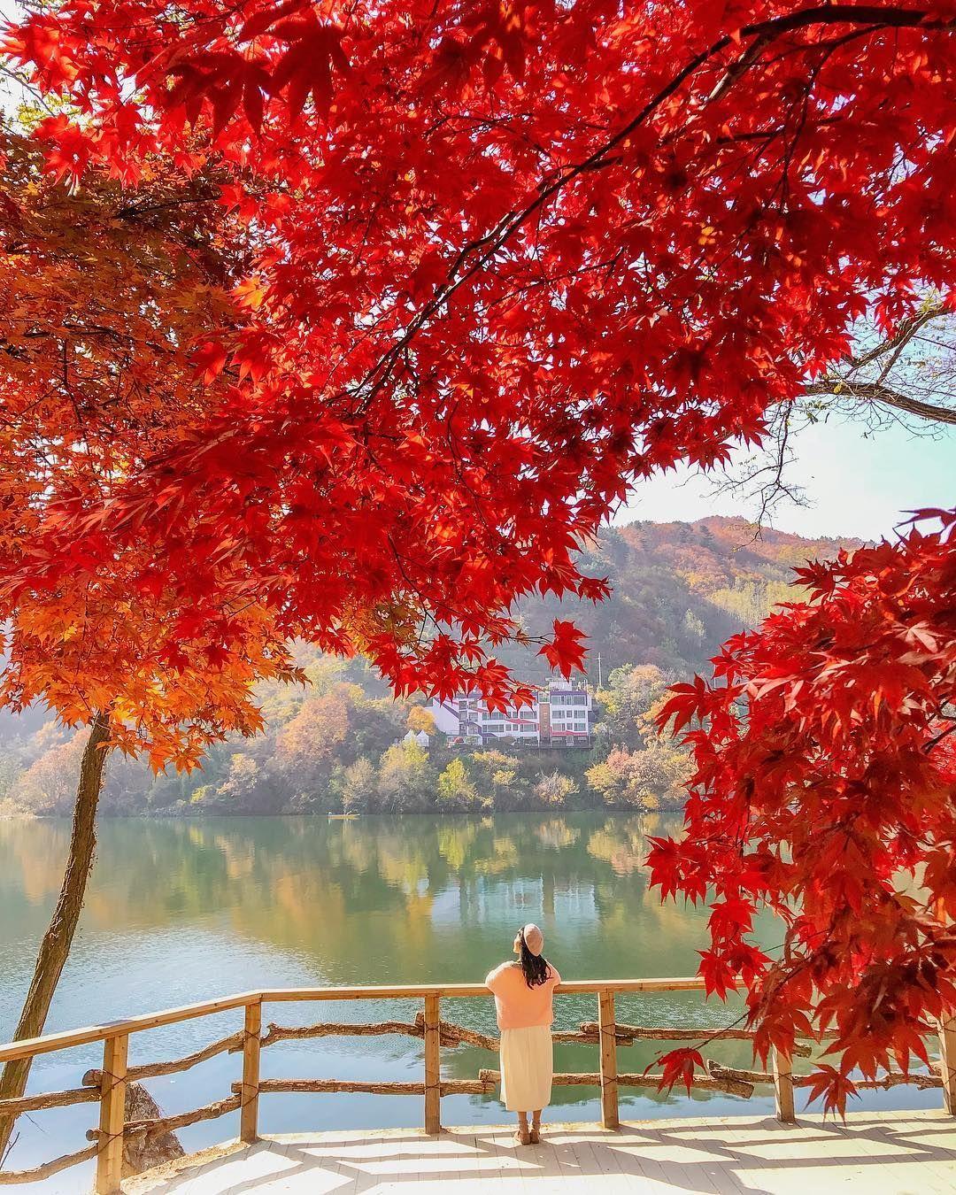 1080x1350 Autumn in Korea