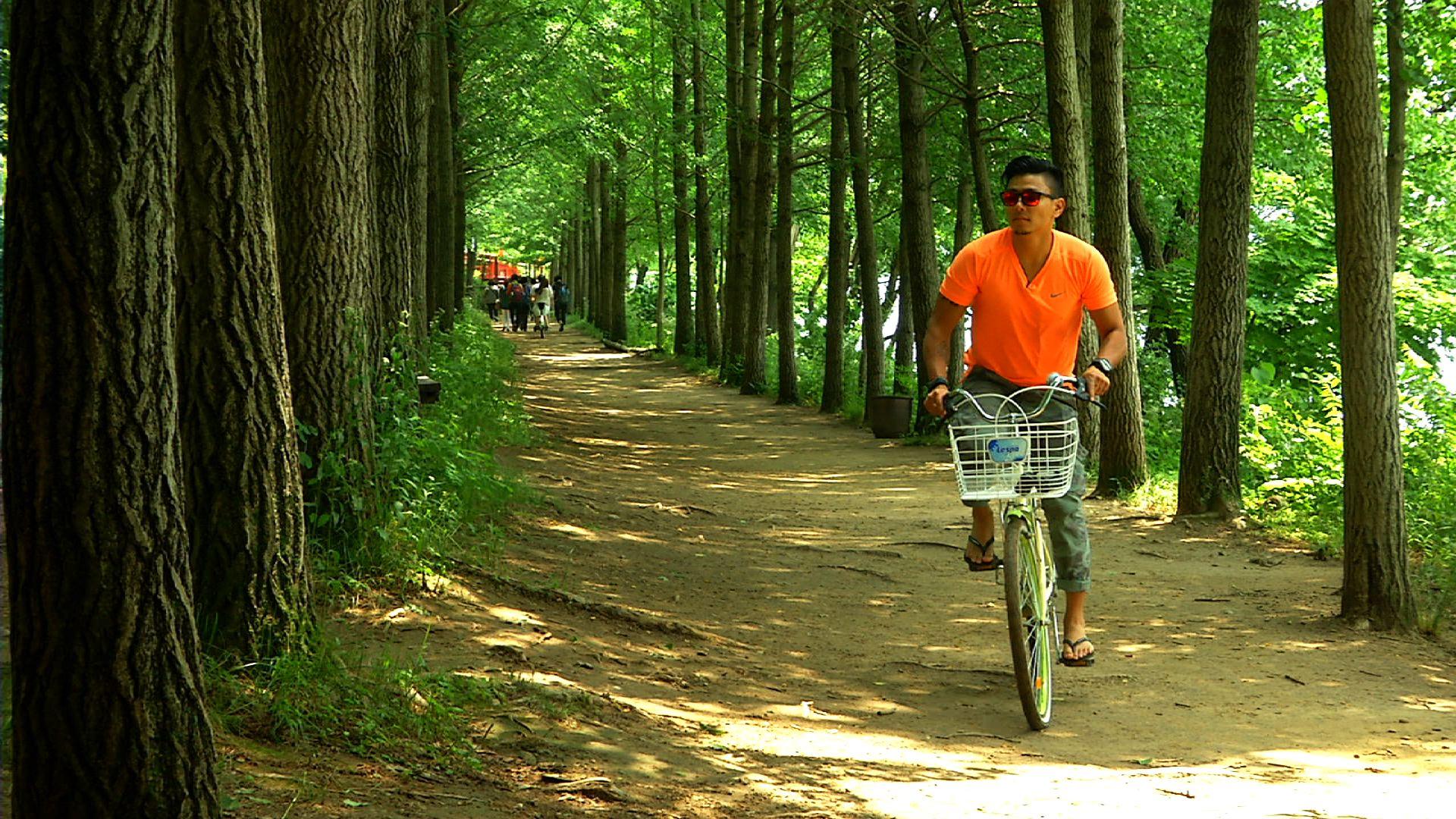 1920x1080 Nami Island and Gyeonggido, South Korea: A 'Biyahe ni Drew