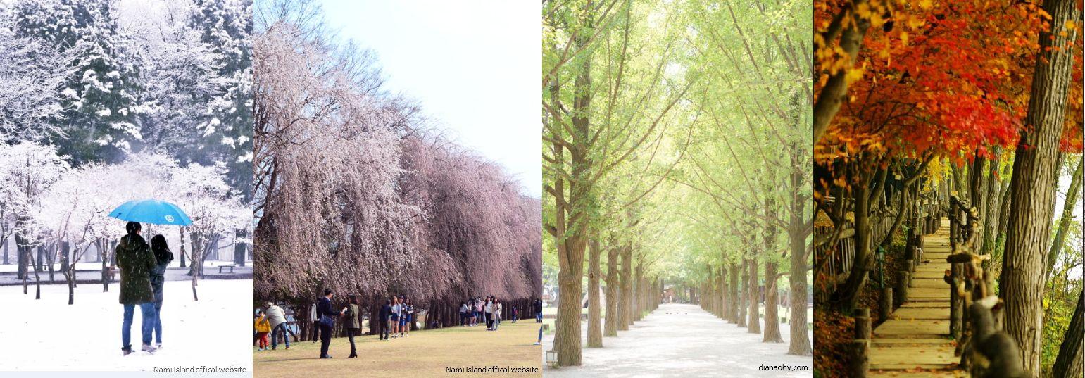 1541x537 How to Get to Nami Island : A Useful Traveler's Guide