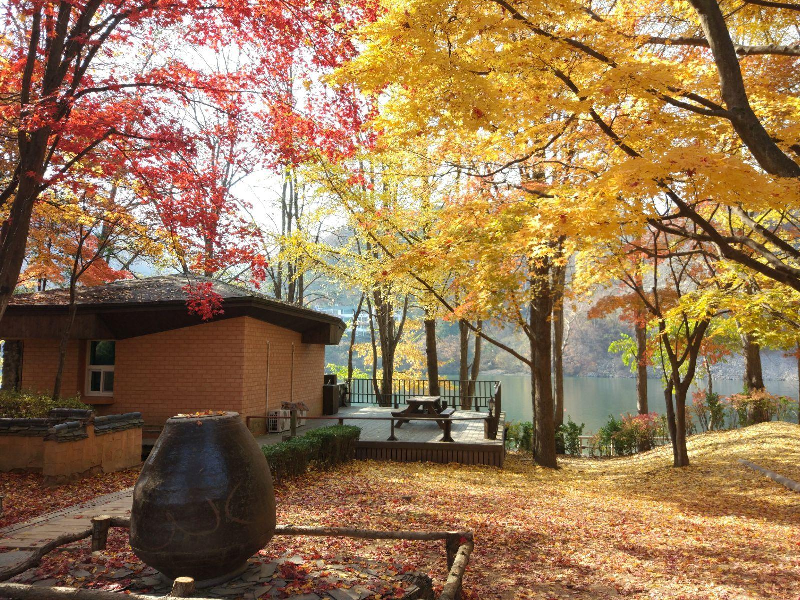 1599x1200 Nami Island in Autumn & Garden of Morning Calm / Sponsored