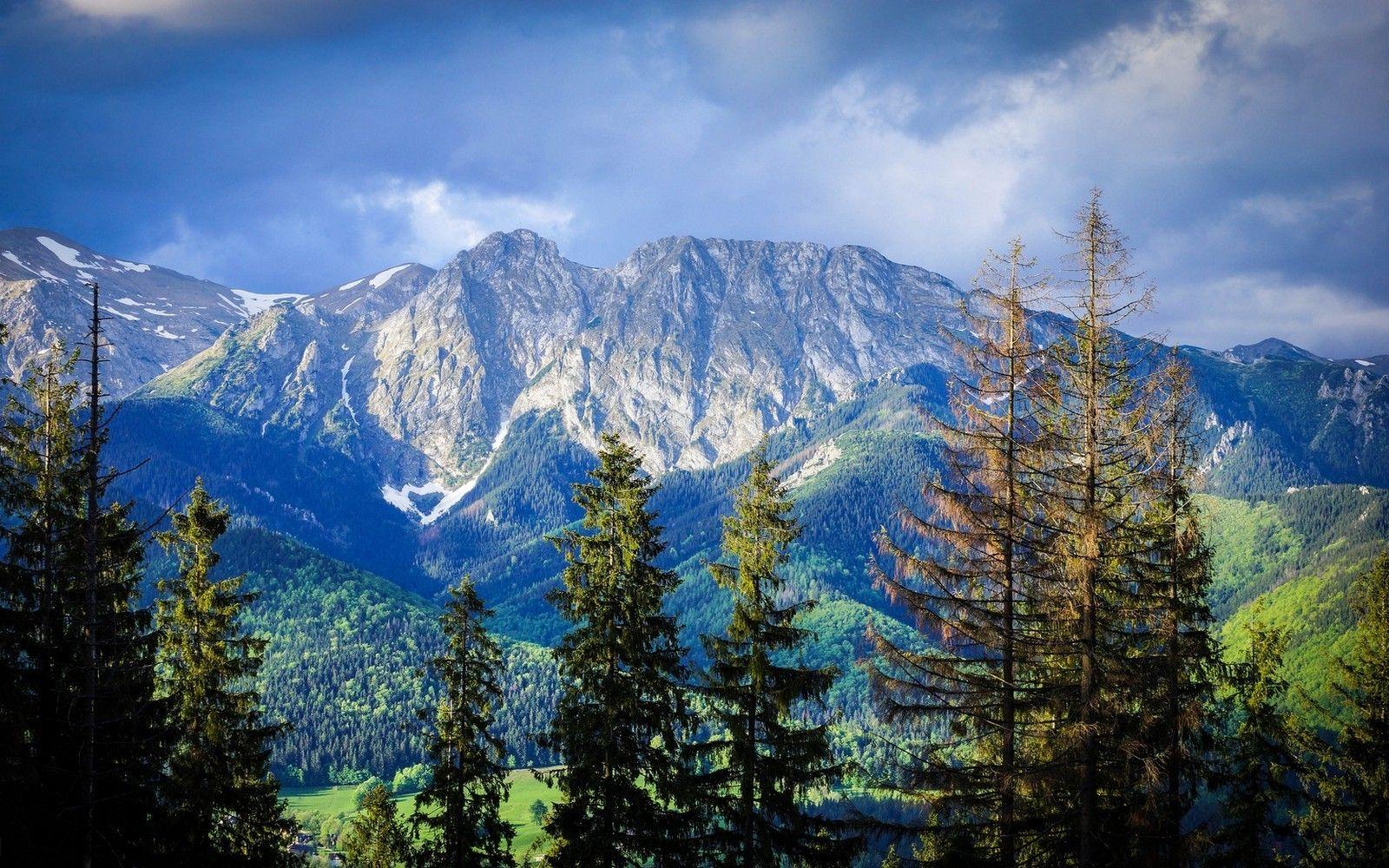 1600x1000 nature, Landscape, Mountain, Forest, Carpathians, Trees, Clouds