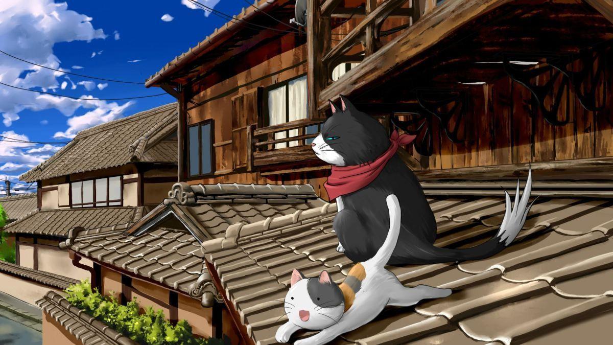 Japan Cat Wallpapers - Top Free Japan Cat Backgrounds - WallpaperAccess