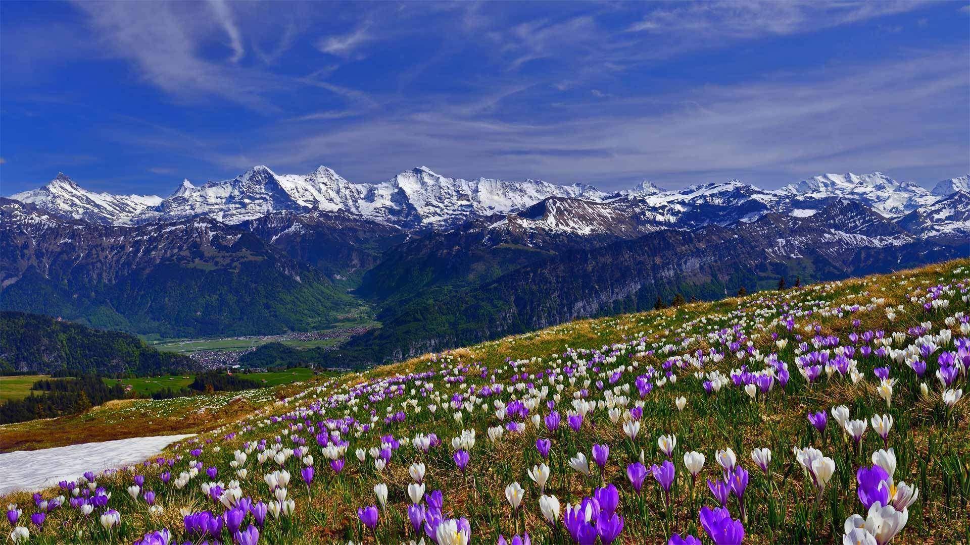 1920x1080 Spring Desktop Wallpaper HD > Mountain Wallpaper HD