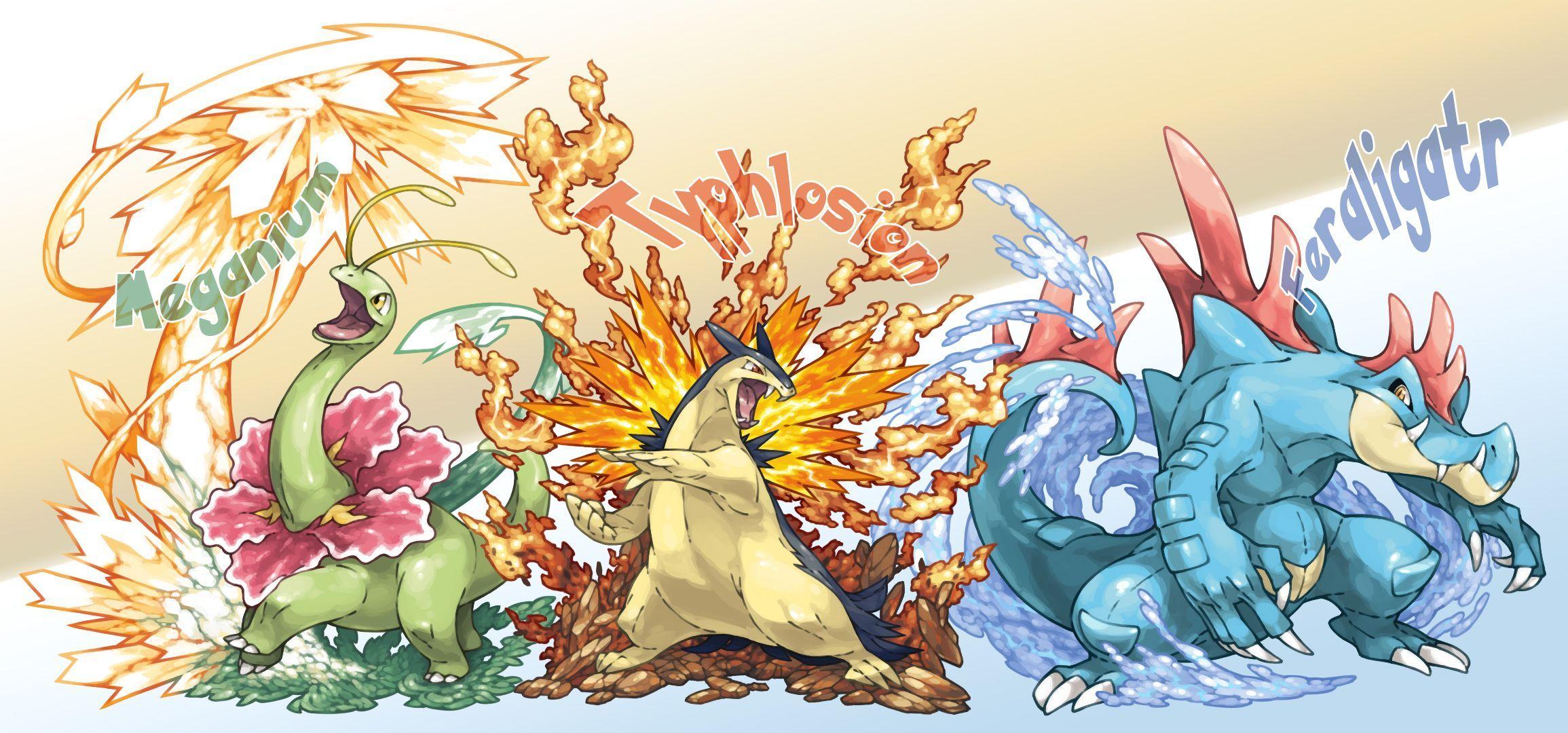 Meganium Wallpapers - Top Free Meganium Backgrounds - WallpaperAccess