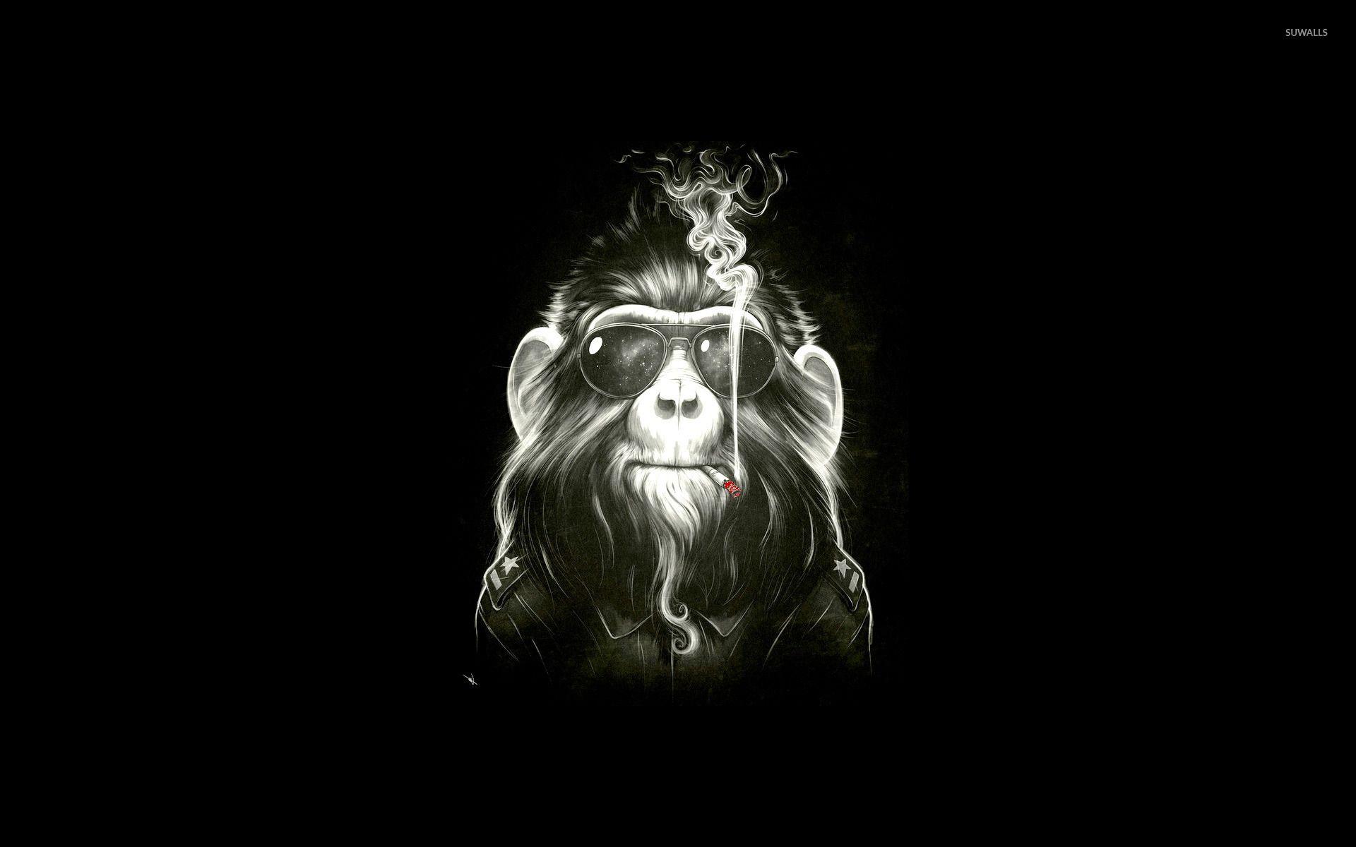 1920x1200 Skoking monkey wallpaper wallpaper