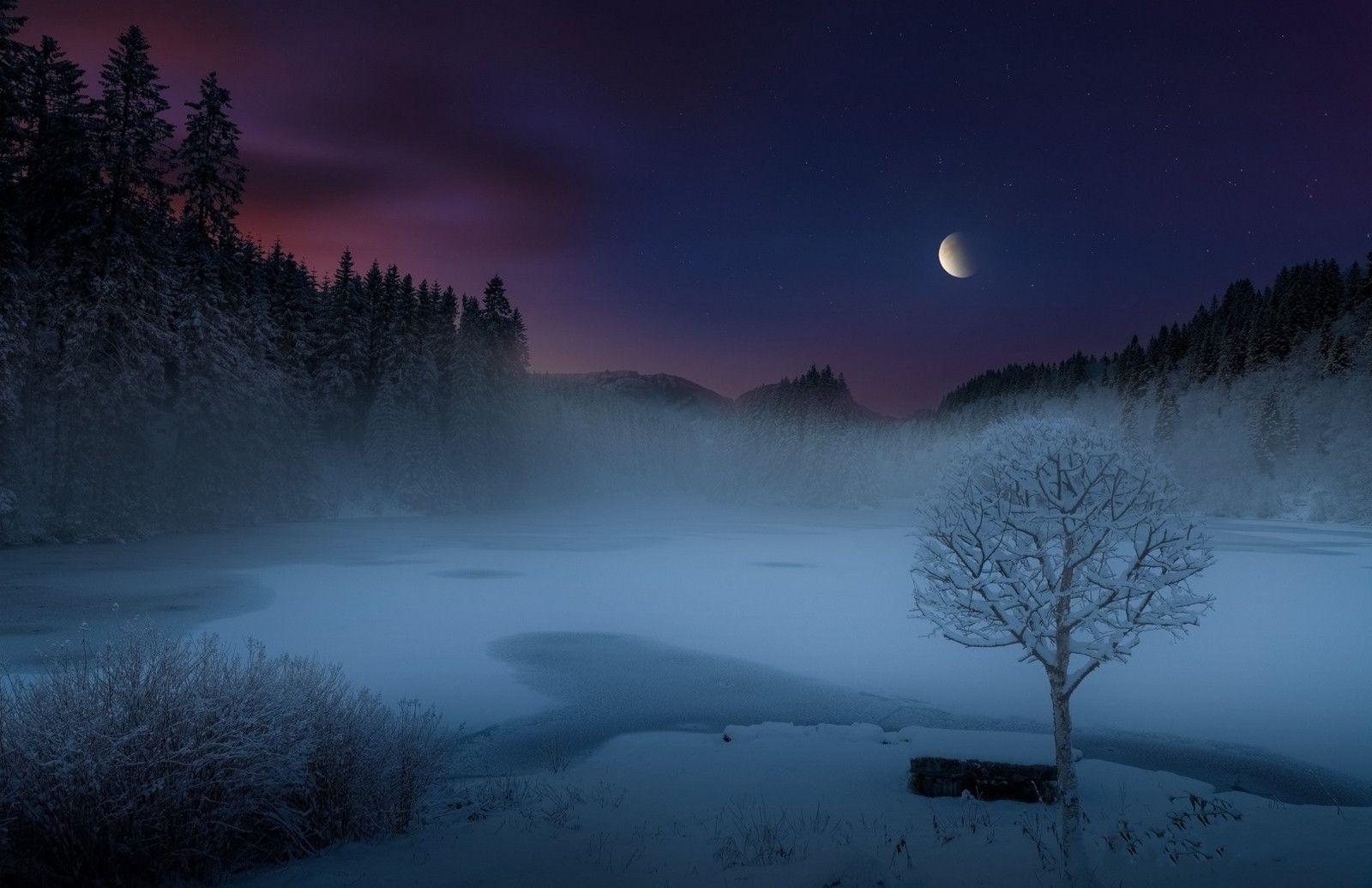 1600x1035 nature, Landscape, Mist, Lake, Snow, Forest, Moon, Shrubs, Trees