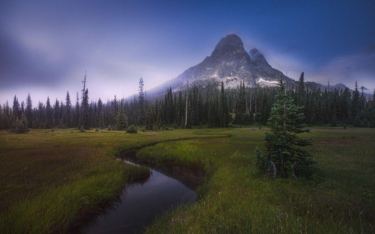 1300x812 nature, Landscape, Evening, Stars, Mountain, Forest, Clouds, River