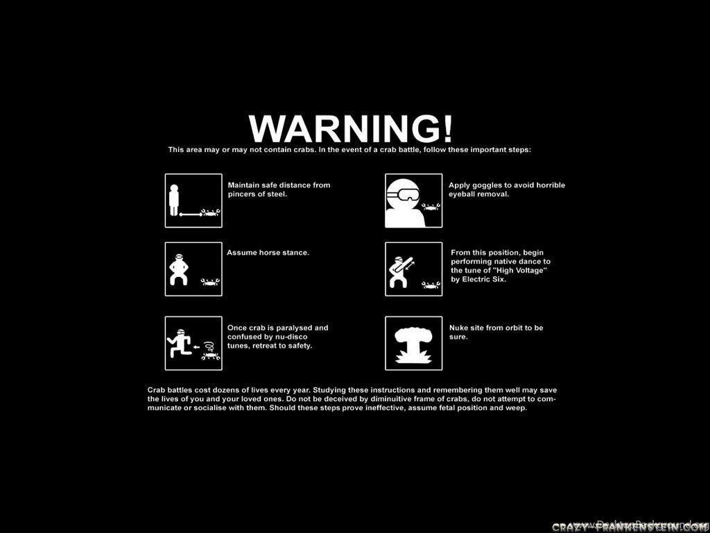 1024x768 BEST WALLPAPER: Wallpaper Pc Funny