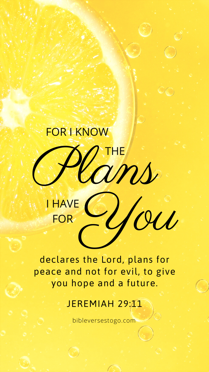 720x1280 Inspirational Bible Verse of