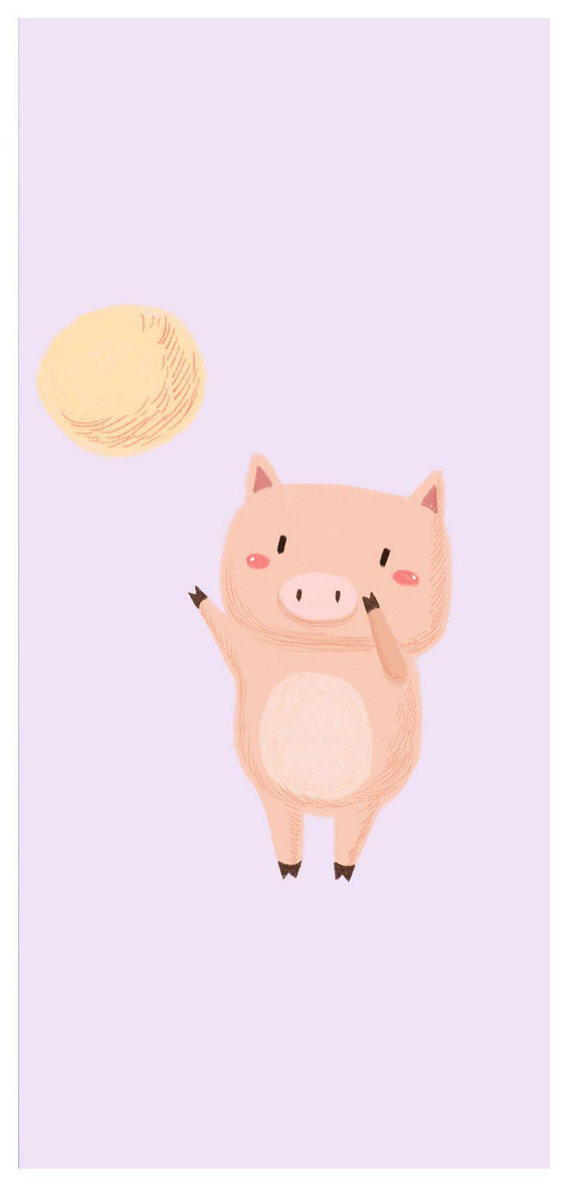 808x1692 cute piggy mobile wallpaper background image free download