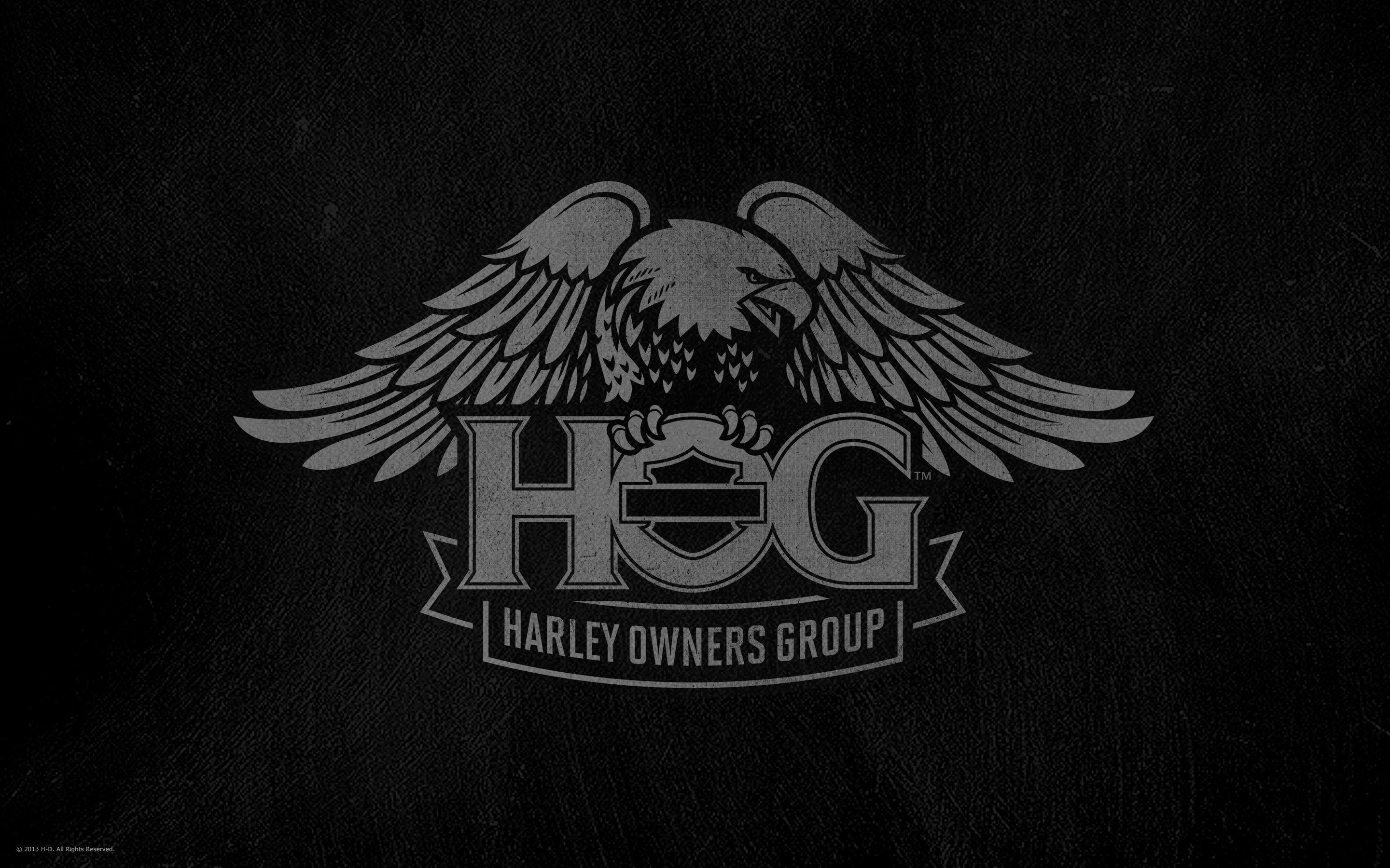Hog перевод. Harley owners группа. Hog Харлей Дэвидсон. Harley Davidson owners Group. Эмблема Харлей Дэвидсон.