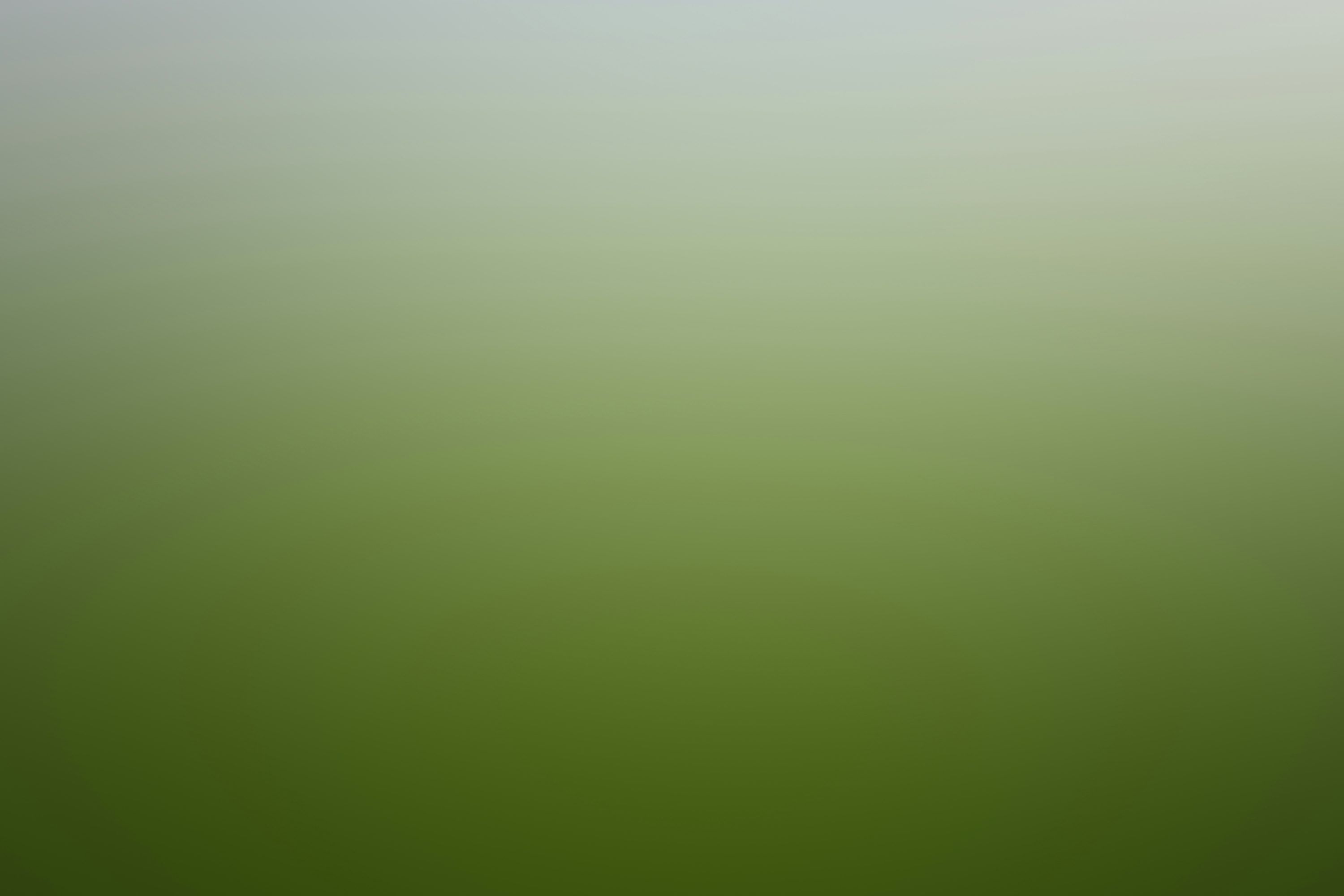 3000x2000 Green and white painted wall photo