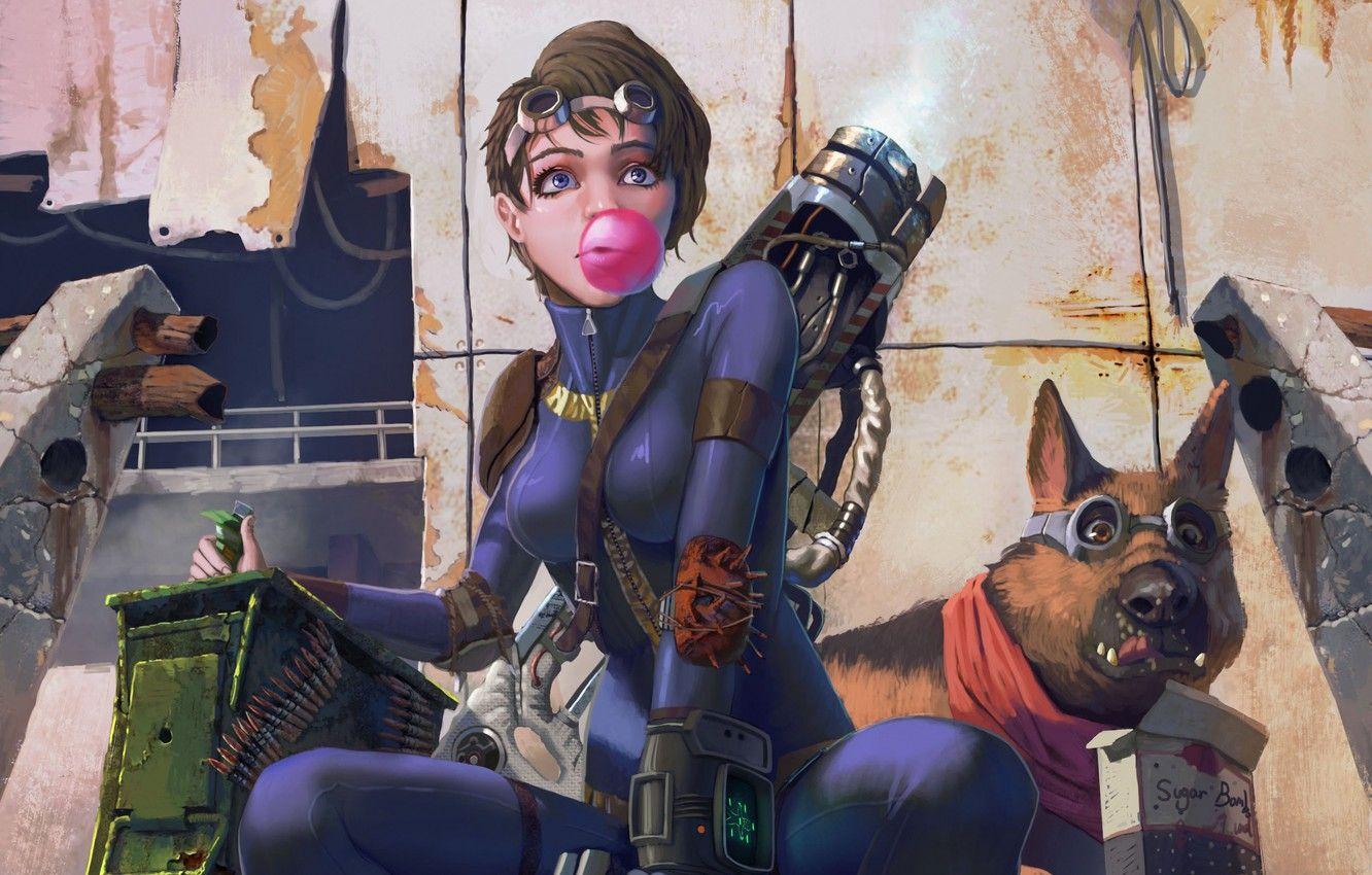 1332x850 Wallpaper girl, weapons, dog, art, cartridges, postapokalipsis, fallout - for desktop, section фантастика