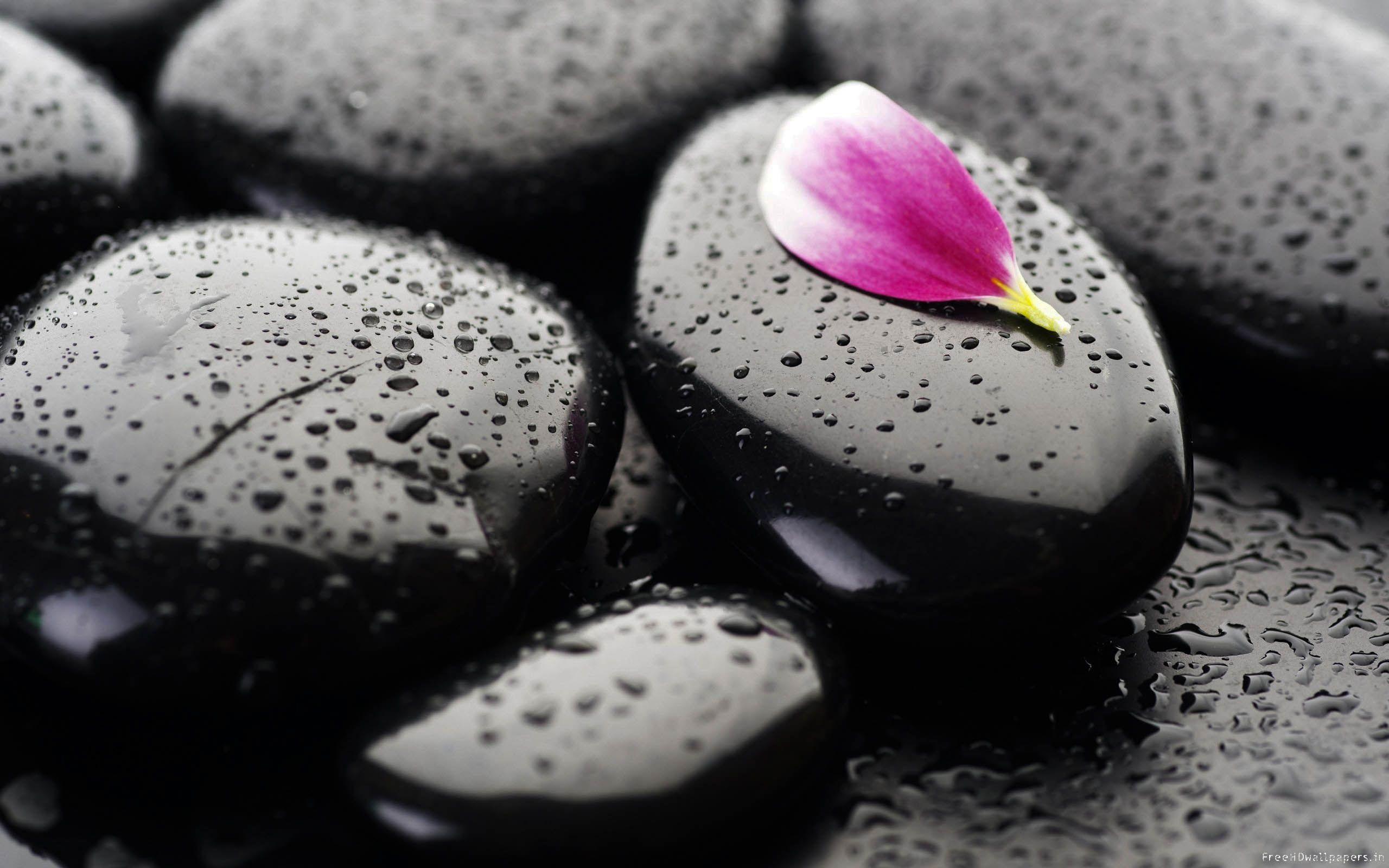 Cool Zen Wallpapers Top Free Cool Zen Backgrounds WallpaperAccess