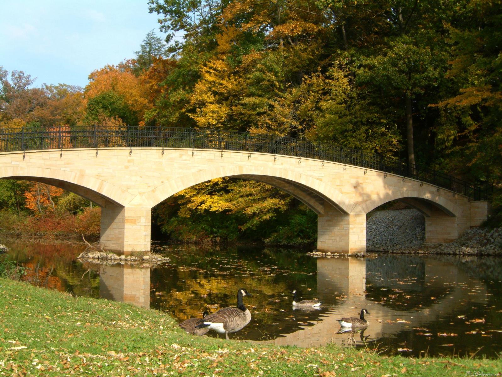 1597x1200 MLeWallpaper.com Bridge in Fall