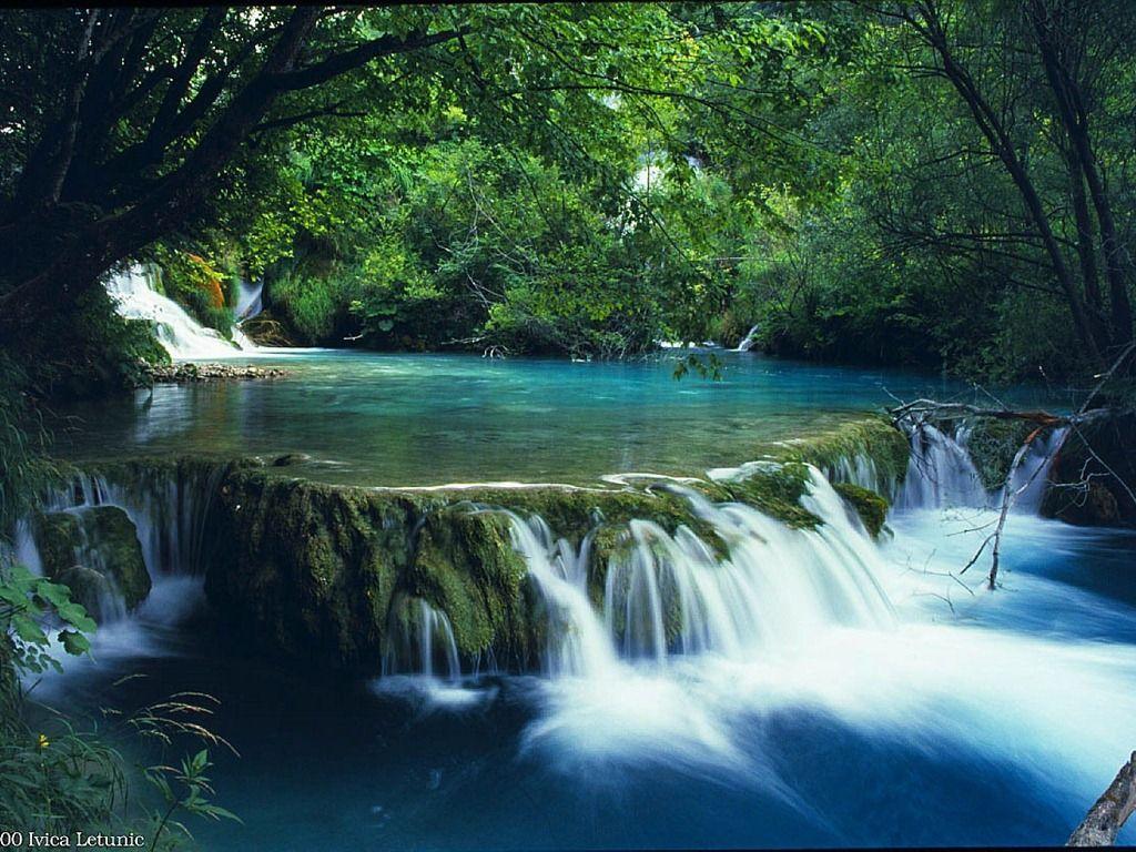 1024x768 Free Zen Garden Picture at Cool Monodomo