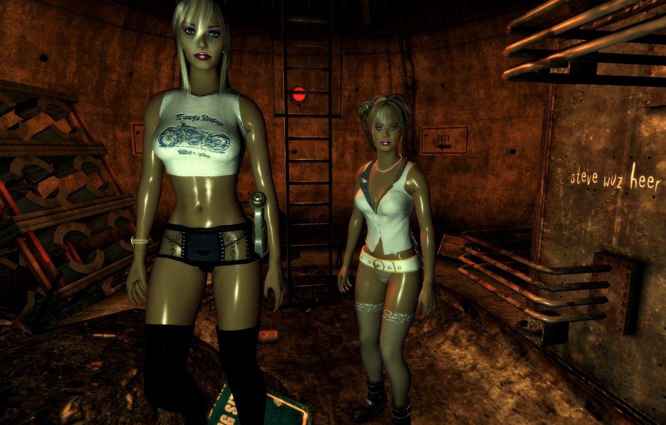 1332x850 Wallpaper, Fallout, companions, Fallout new vegas, Ingame image for desktop, section игры