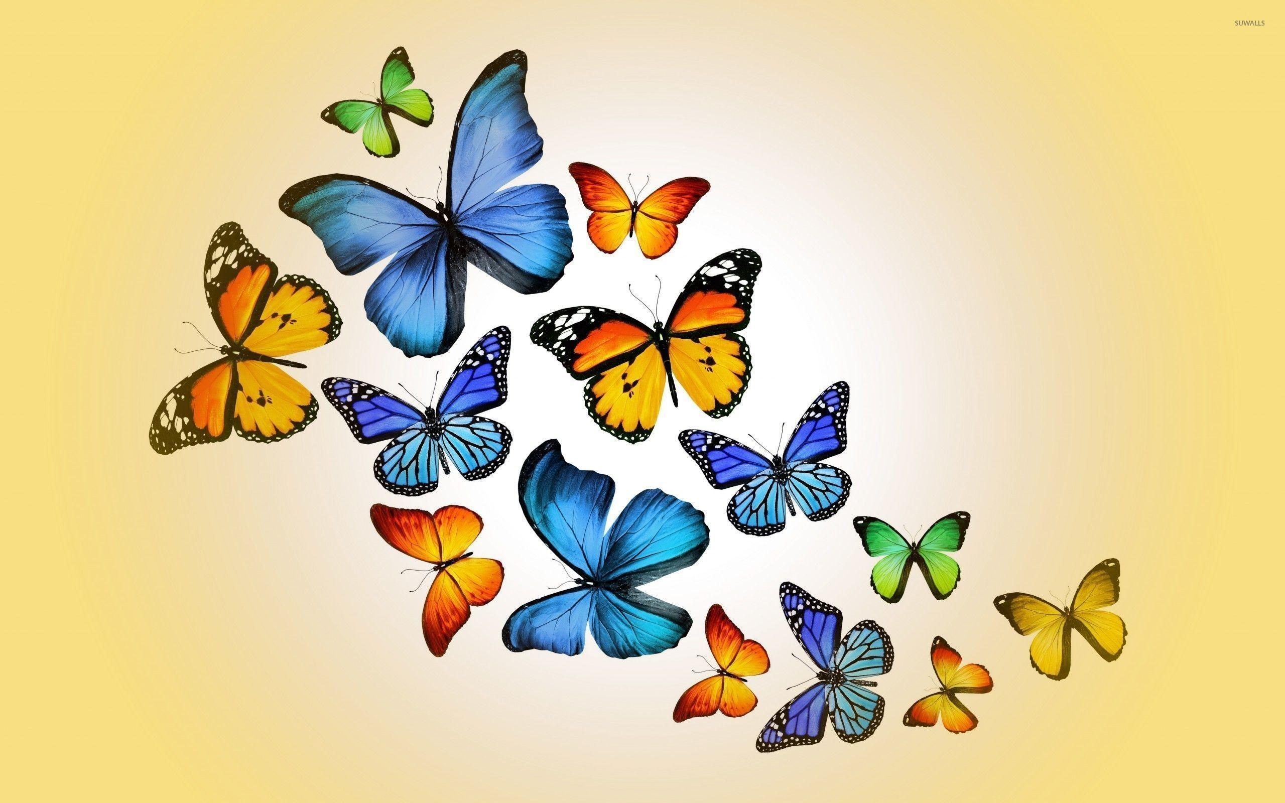 Cute Butterfly Desktop Wallpapers - Top Hình Ảnh Đẹp