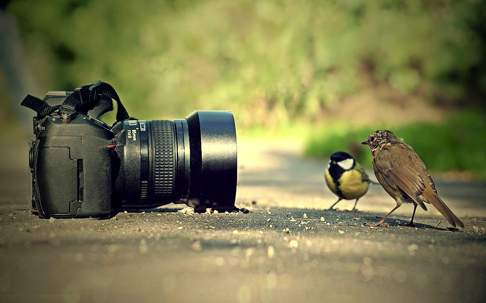 1920x1200 Photography Camera HD Background