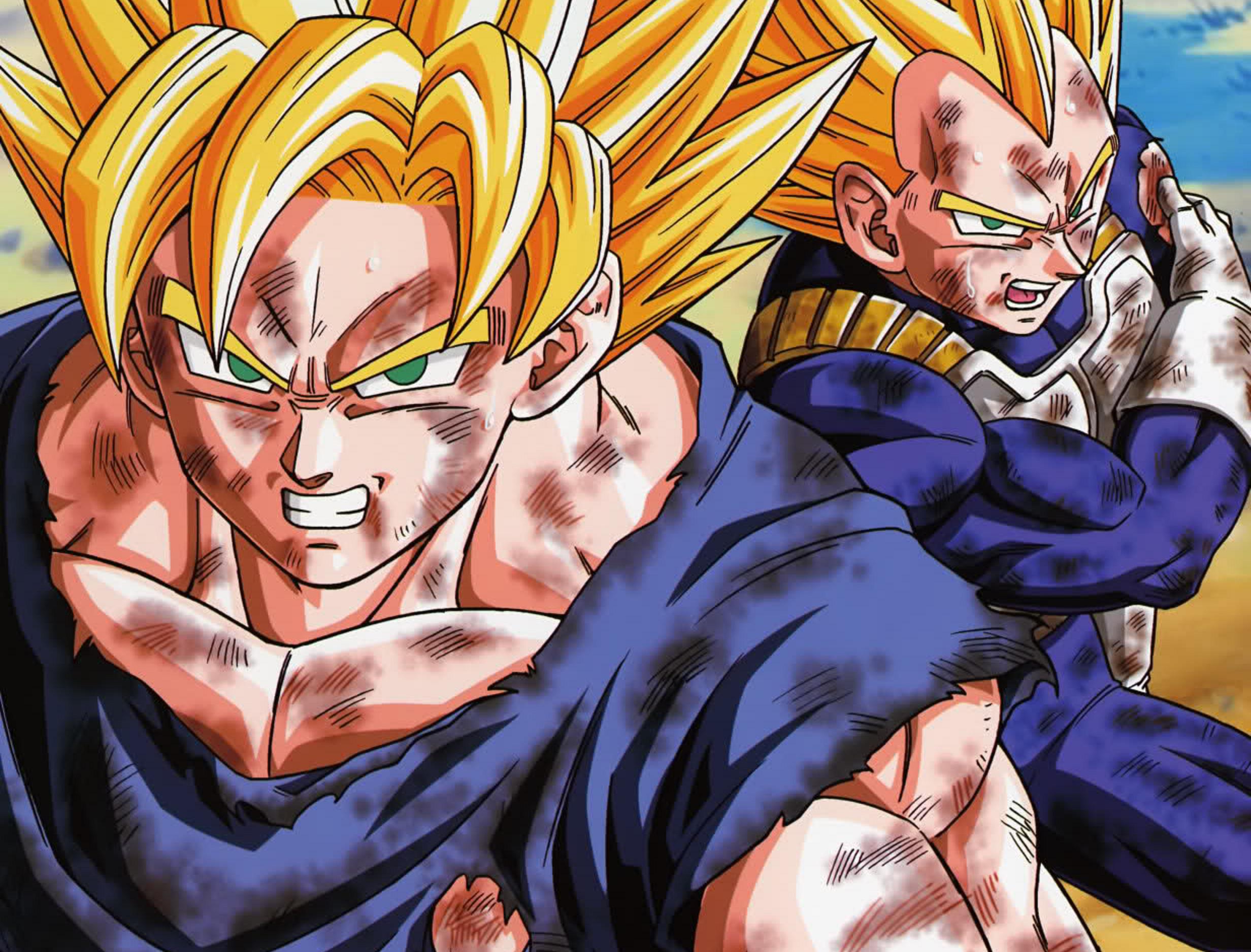 2464x1876 Free download Vegeta Wallpaper [2464x1876] for your Desktop