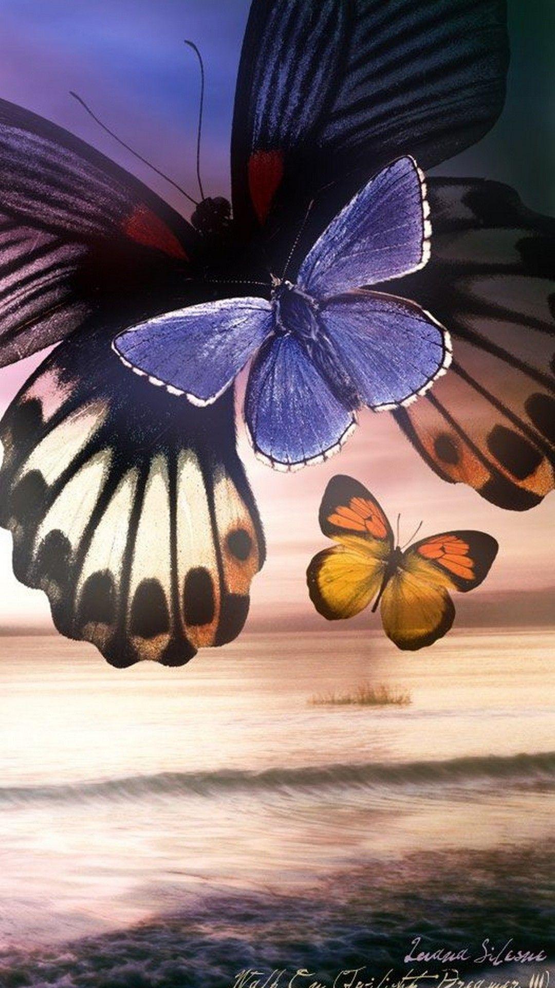 1080x1920 Blue Butterfly HD Wallpaper For Mobile Cute Wallpaper