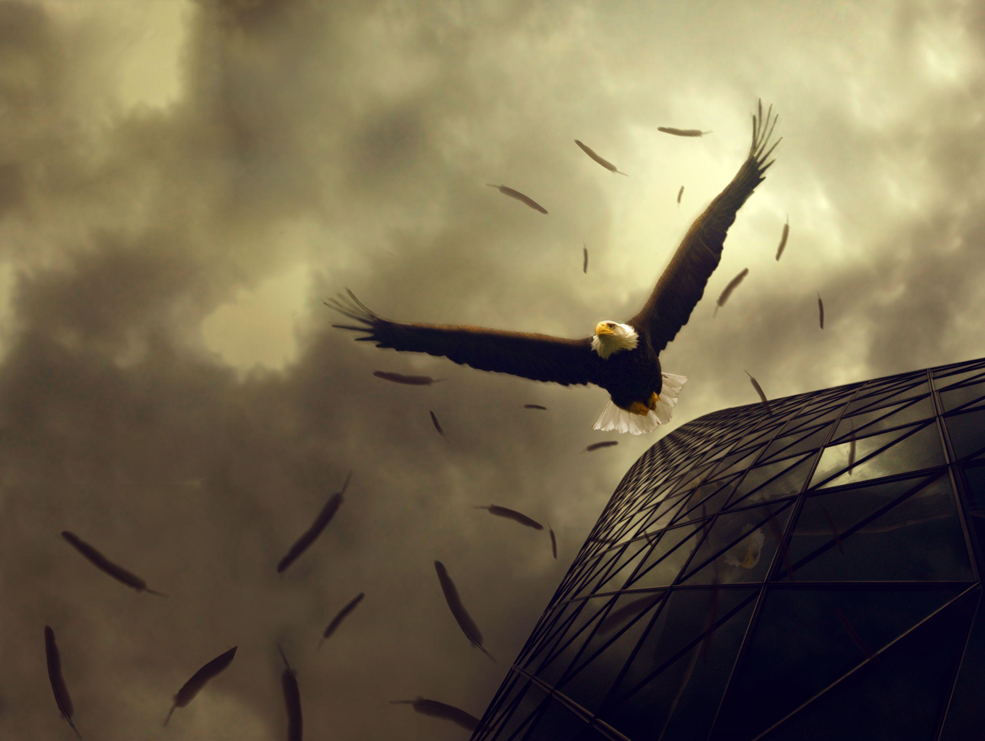 3425x2578 HDQ Cover Wallpaper: Sepia Image For Desktop, Free Download, FRE