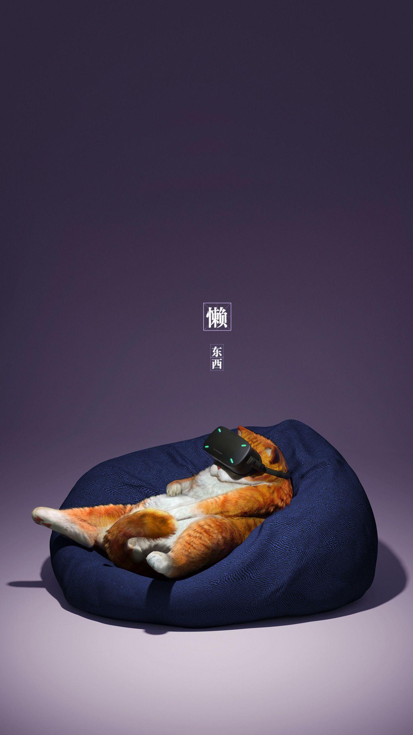 1440x2560 Download wallpaper 1440x2560 cat, glasses, virtual reality, funny, cool qhd samsung galaxy s s edge, note, lg g4 HD background
