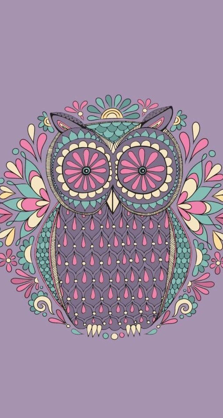 713x1334 Collections Free Owl Background Wallpaper