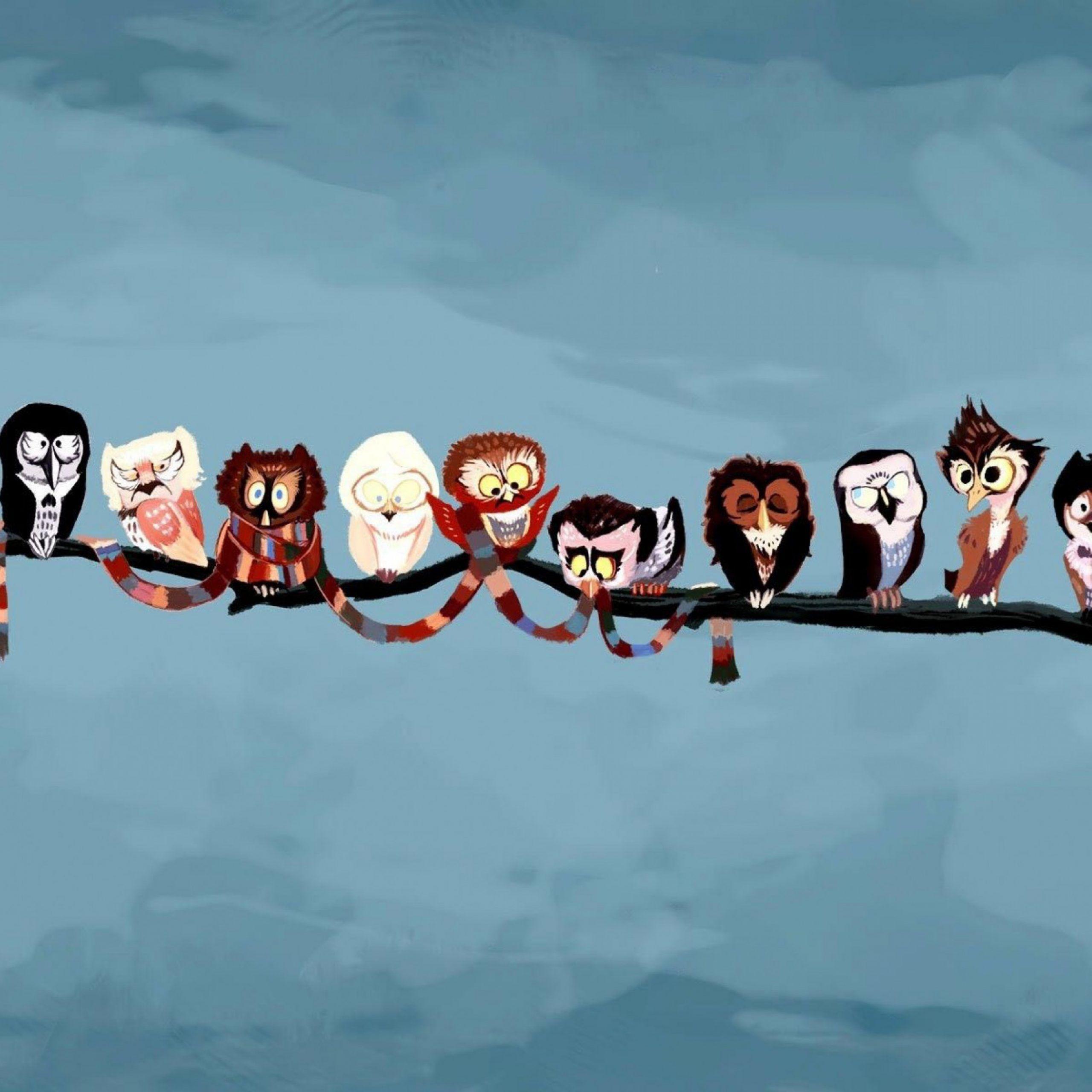 2560x2560 Funny Owls Paint Cartoon Wallpaper Picture HD Free