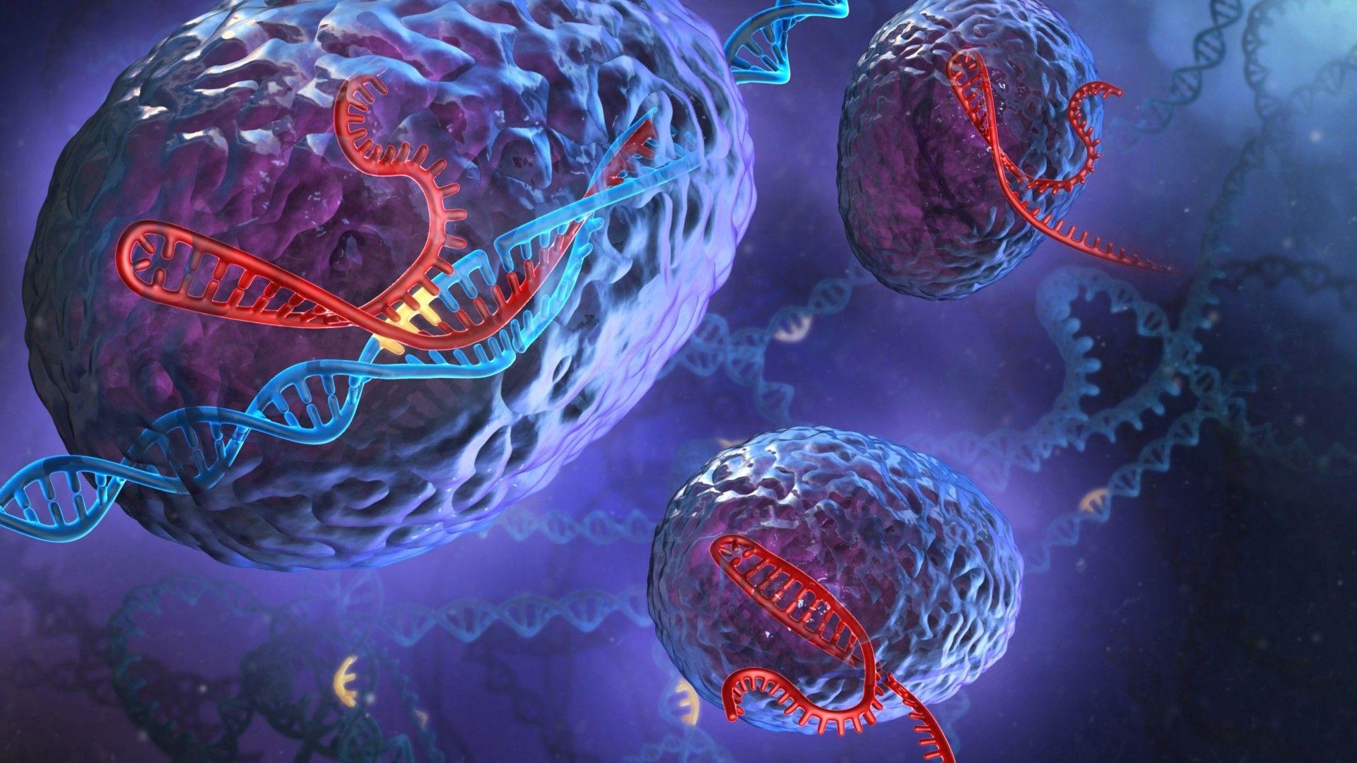 1920x1080 HD Dna Wallpaper