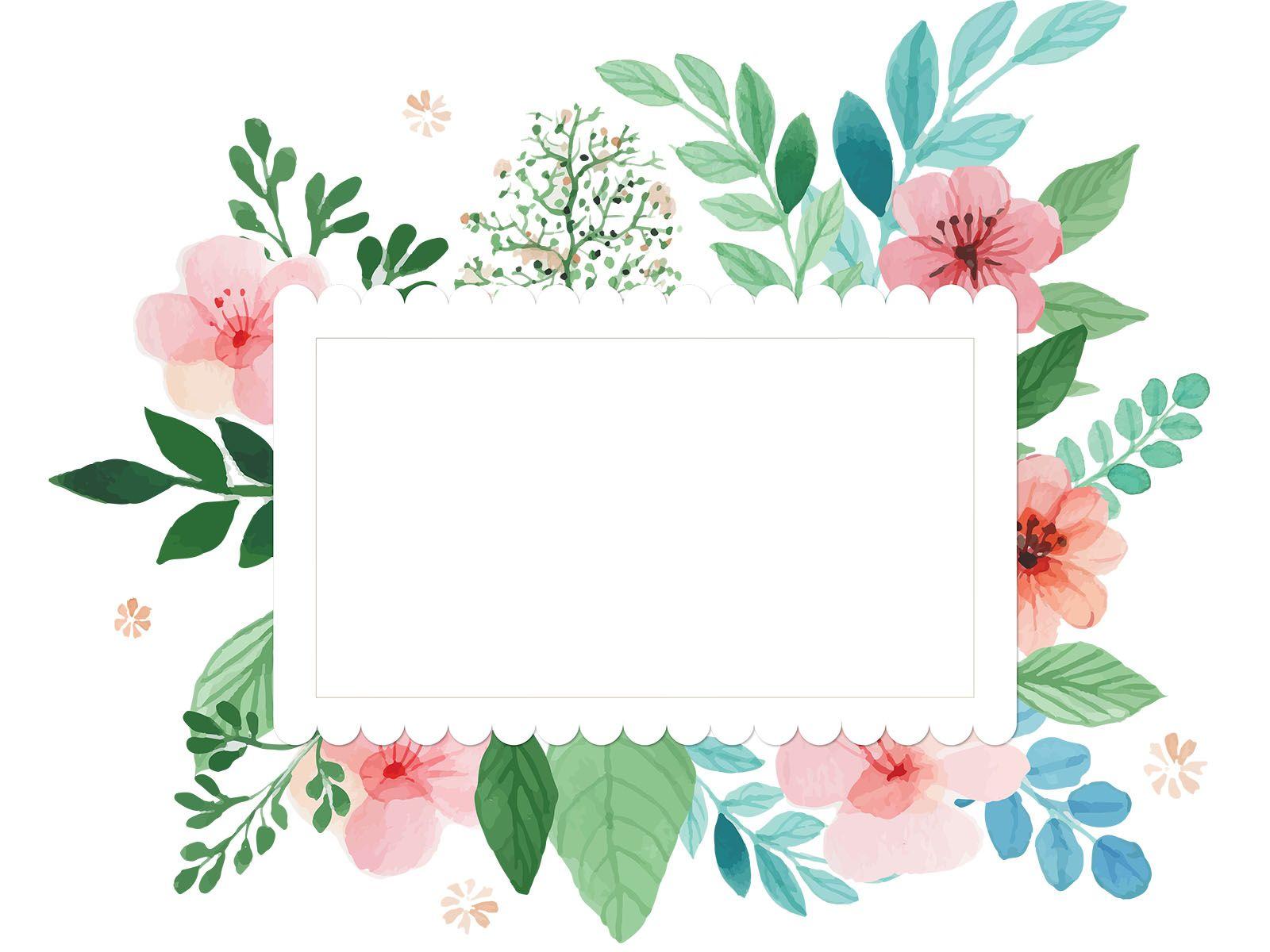 Cute background with frame and flowers collection Vector Image