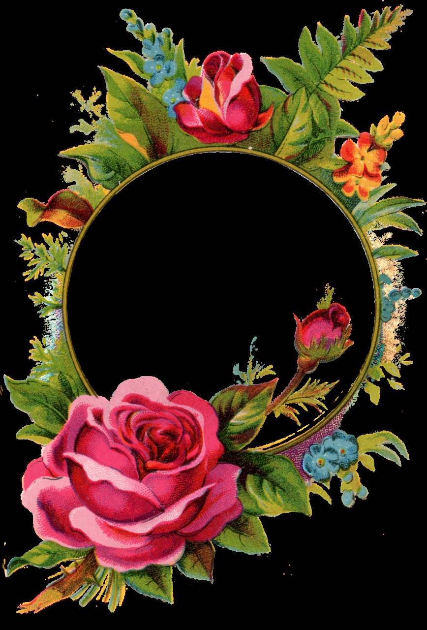 868x1280 Rose Frame wallpaper