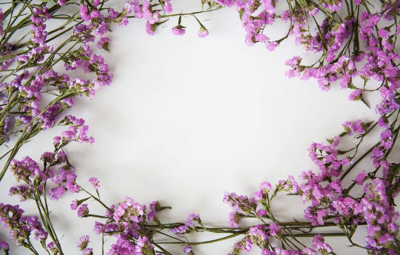 1332x850 Wallpaper flowers, background, frame, flowers, purple, violet