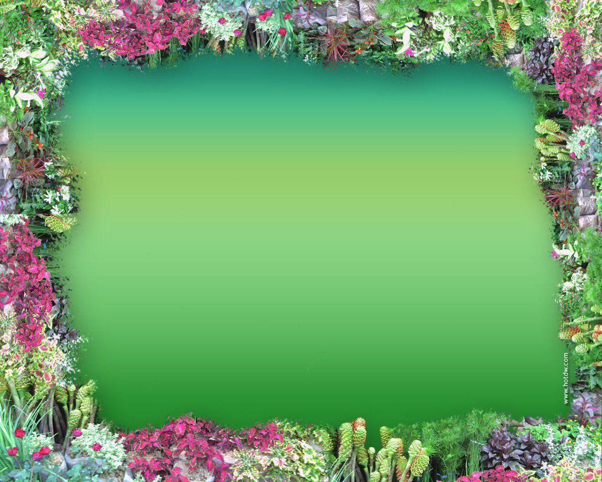 1200x960 Latest Frame Flower Background Wallpaper Hd Desktop Wallpaper