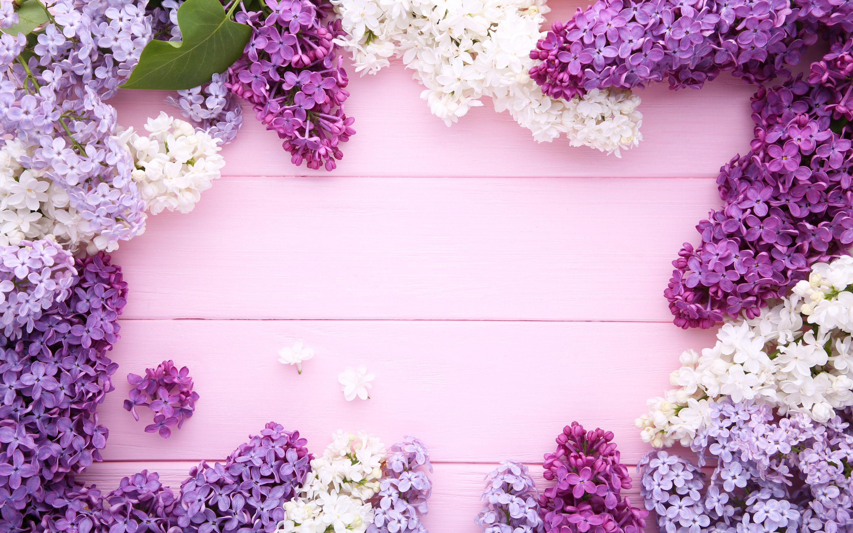 2880x1800 Download wallpaper Frame with lilacs, purple wood background