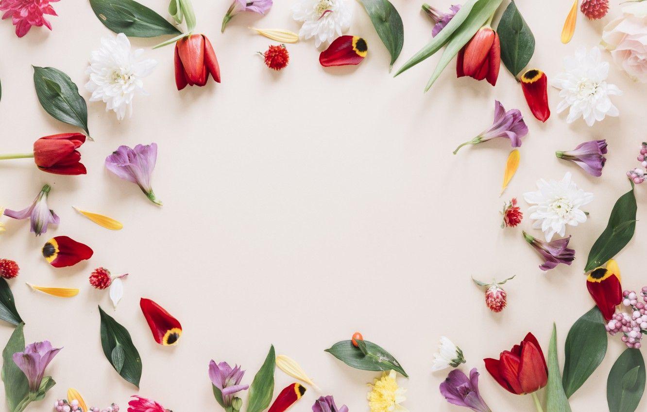 1332x850 Wallpaper flowers, frame, colorful, tulips, flowers, tulips, frame