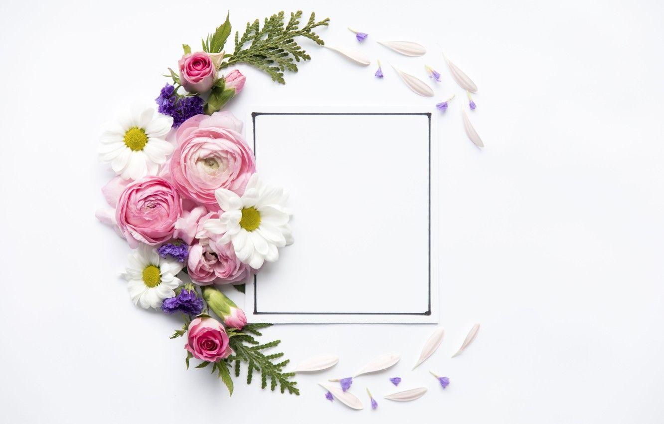 Flower Frame Wallpapers Top Free Flower Frame Backgrounds