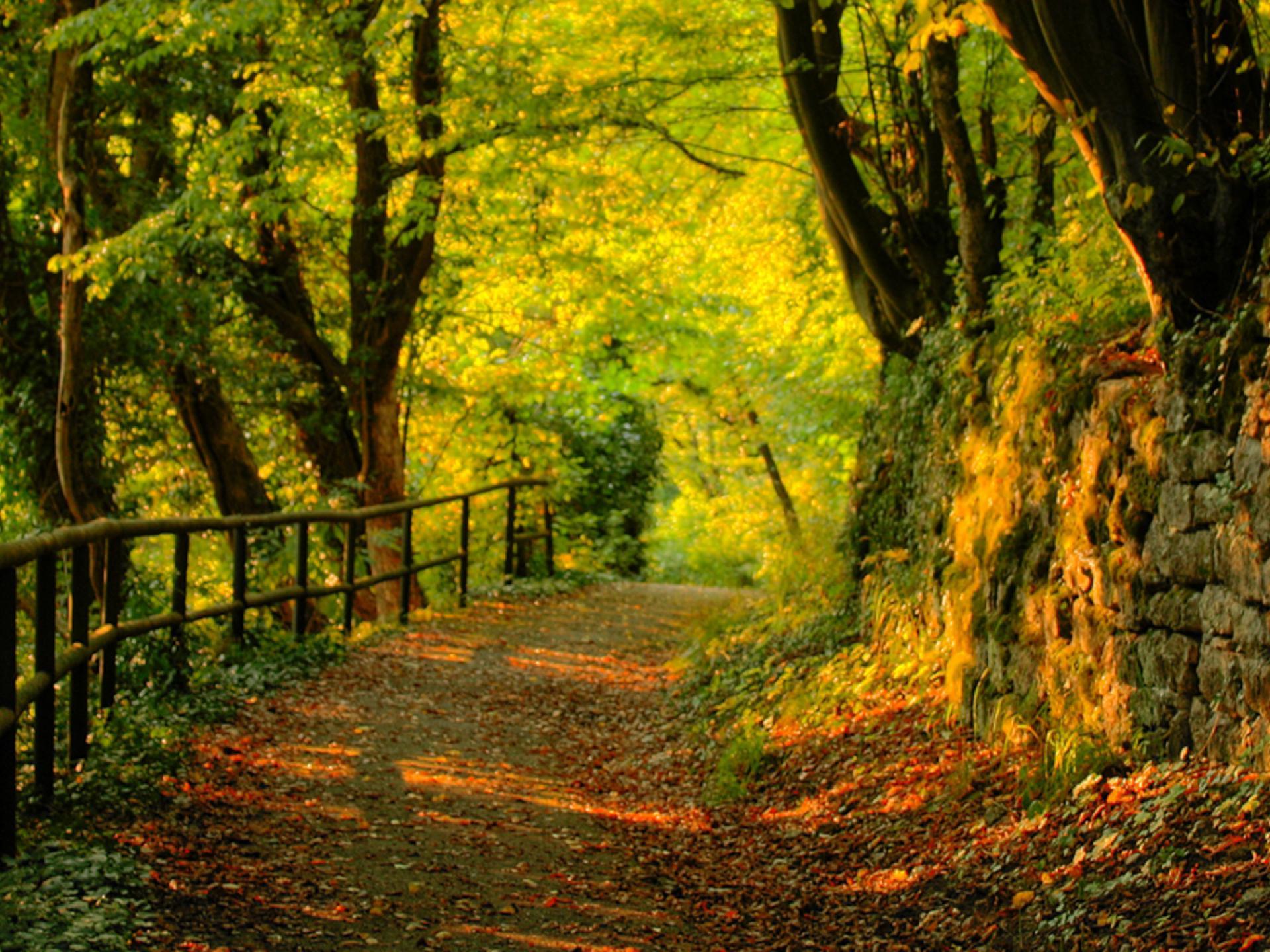 1920x1440 Autumn Dual Monitor