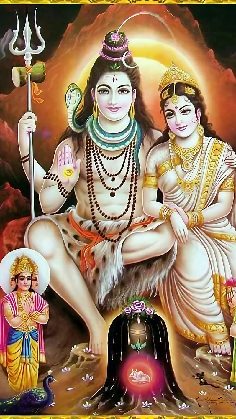 800x1422 Shiv Shankar Ji Ke, Lord Shiva With Maa Parvati, god, mahadev, HD phone wallpaper