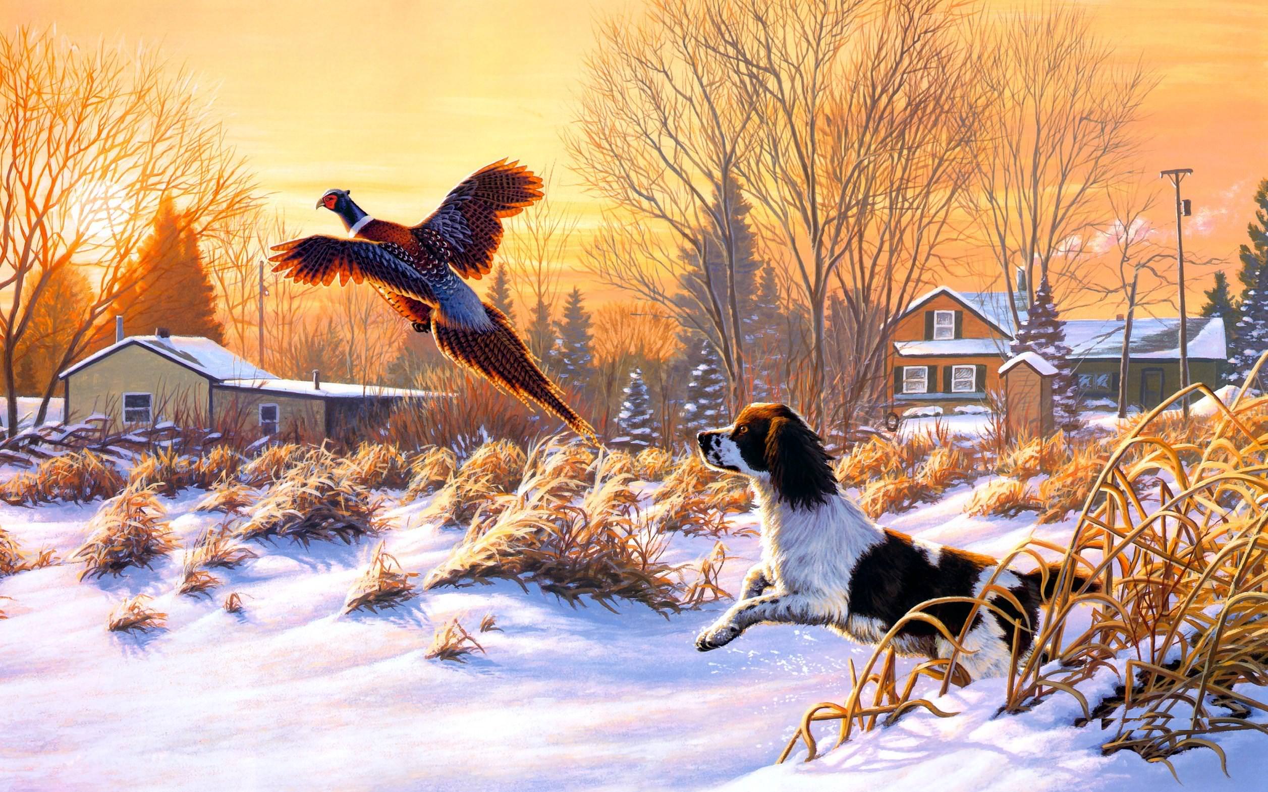 2513x1570 Hunting Background, Wallpaper, Image, Picture. Design