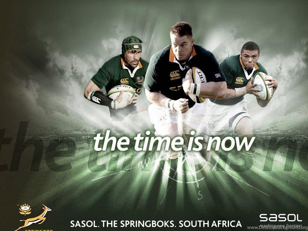 1024x768 Springboks Wallpaper