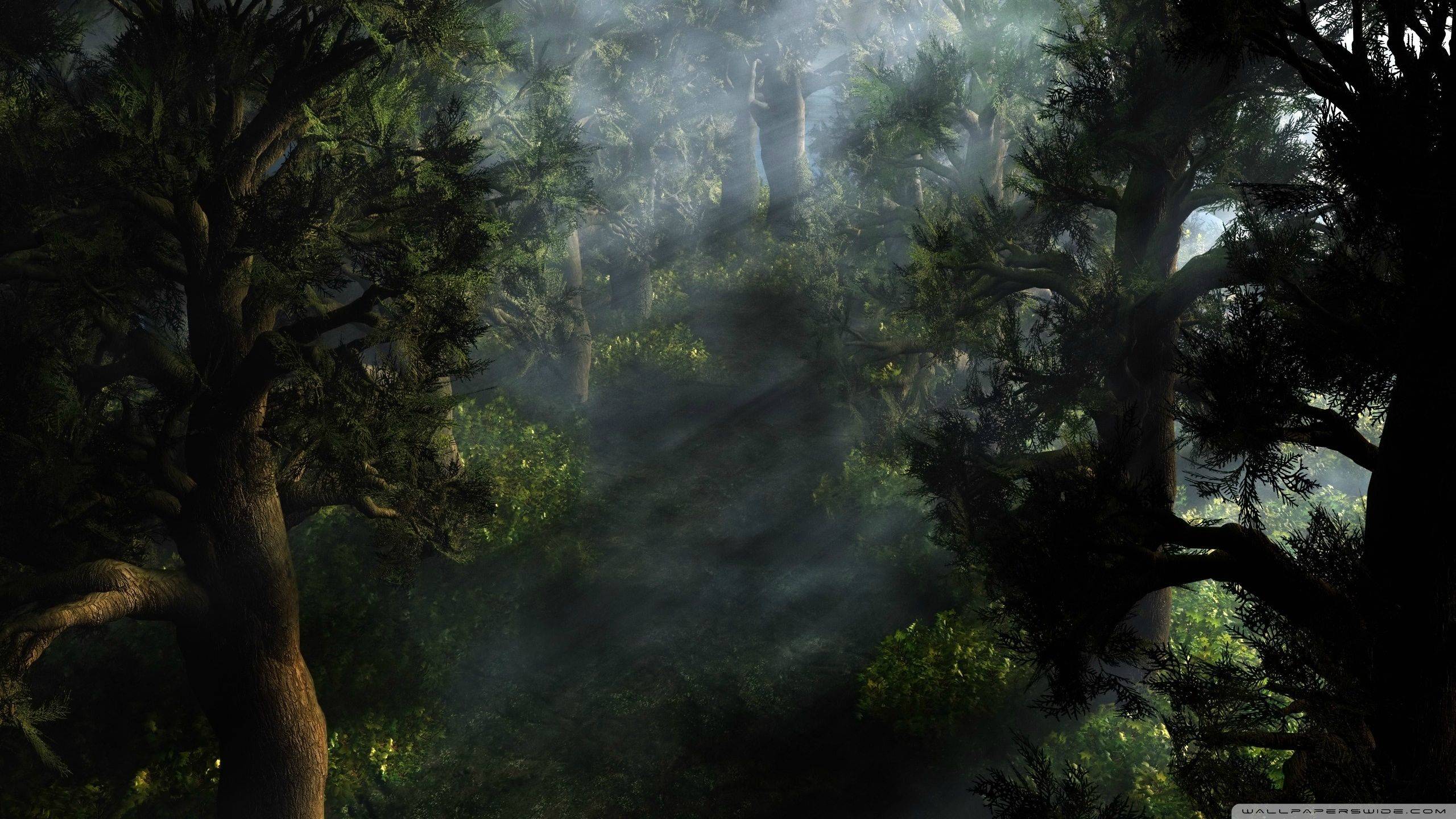 2560x1440 Mystical Desktop Background. Beautiful Widescreen Desktop Wallpaper, Desktop Wallpaper and Naruto Desktop Background