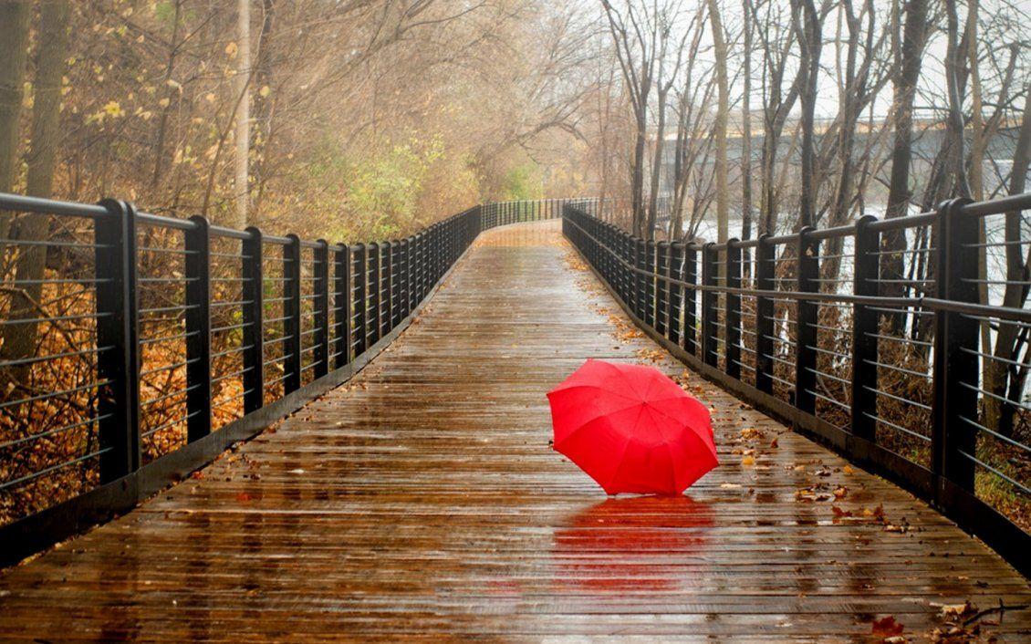 1130x706 Red umbrella on the bridge