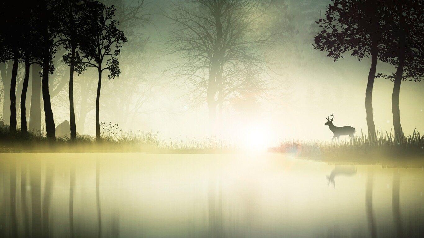 1366x768 Mystic Forest 1366x768 Resolution HD 4k Wallpaper