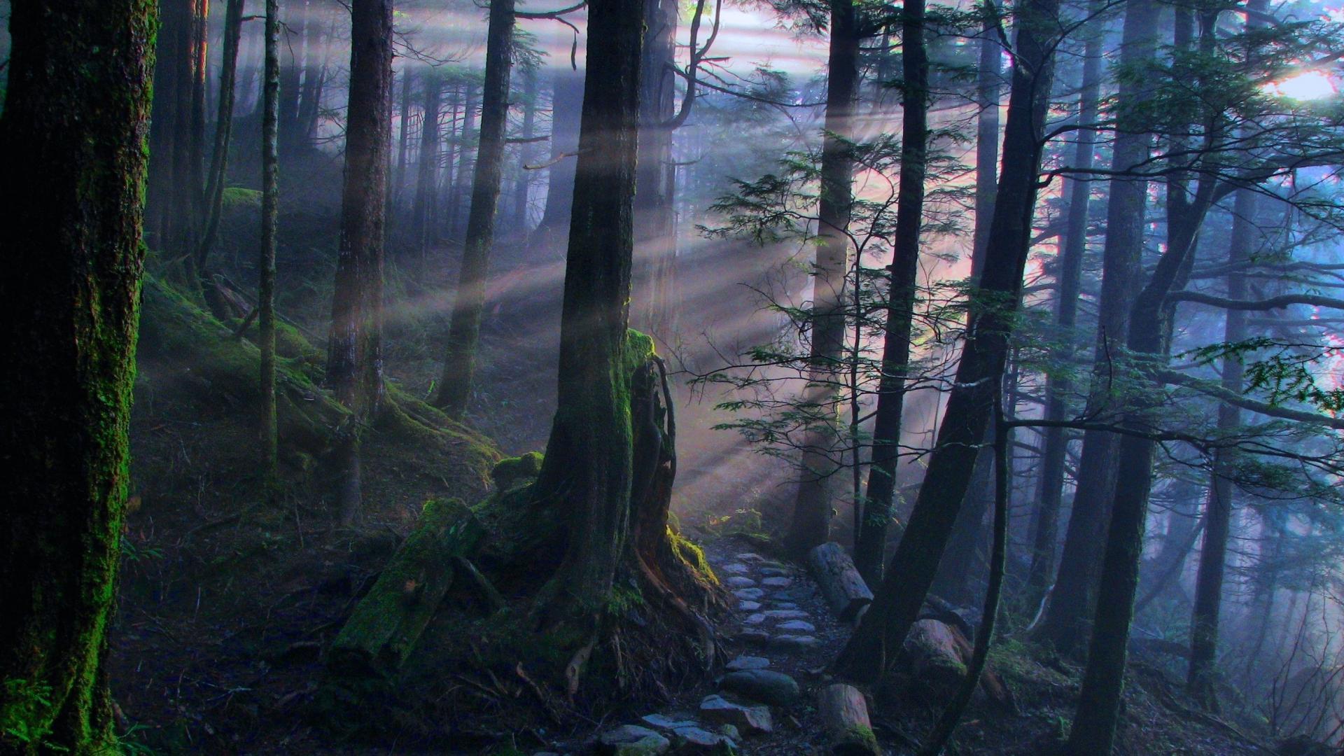 Mystical HD Wallpapers - Top Free Mystical HD Backgrounds - WallpaperAccess